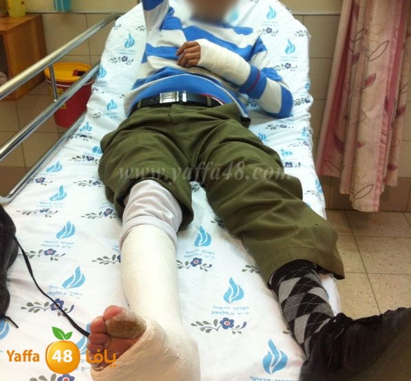 abo 3esa 7emal (1).JPG